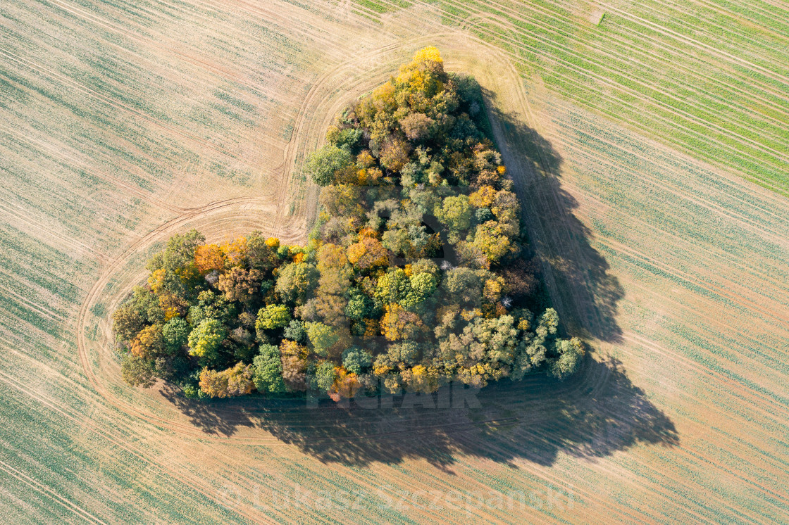 "Heart of a nature, aerial view of autumn heart shaped forest amongst agricultural fields" by Lukasz Szczepanski - $15.93 "Heart of a nature, aerial view of autumn heart shaped forest amongst agricultural fields" stock image