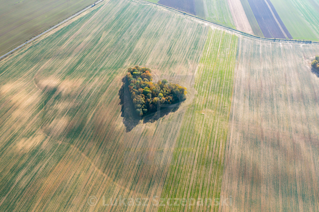 "Heart of a nature, aerial view of autumn heart shaped forest amongst agricultural fields" by Lukasz Szczepanski - $15.93 "Heart of a nature, aerial view of autumn heart shaped forest amongst agricultural fields" stock image