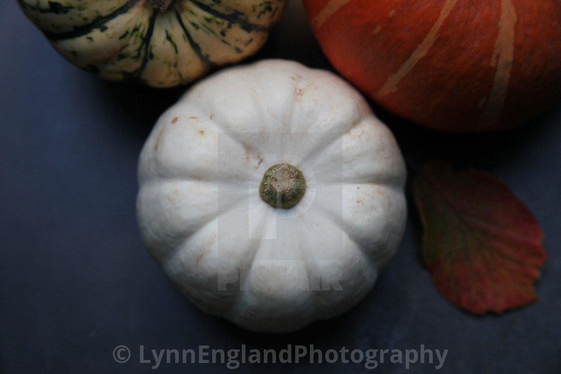 "Squash overhead" stock image