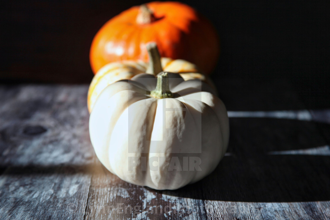 "Pumpkins and squash" stock image