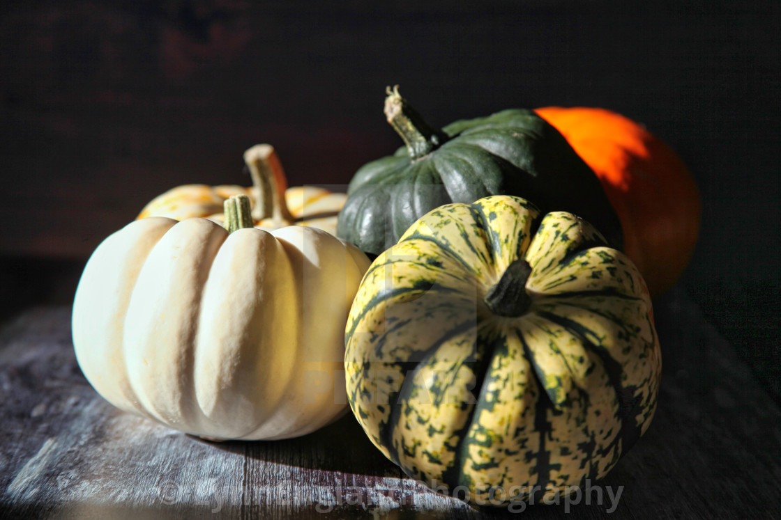 "Pumpkins and squash" stock image