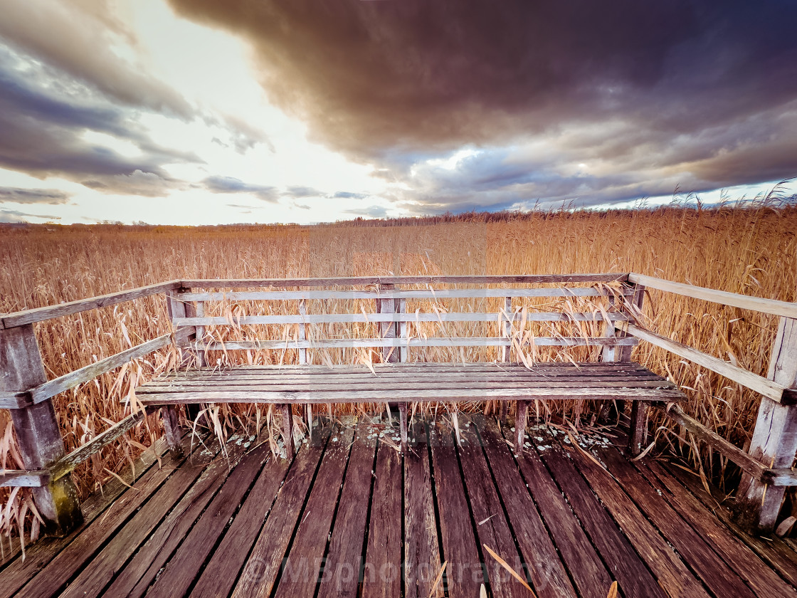 "Boardwalk around the Federsee, Bad Buchau" stock image