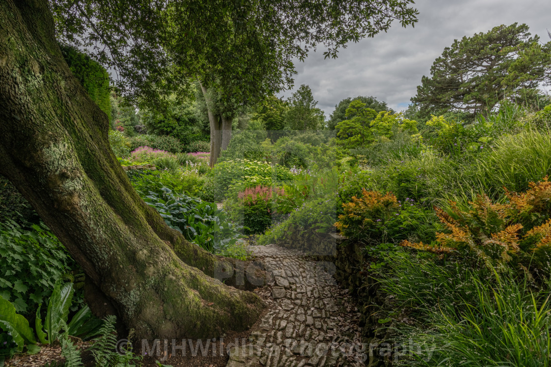 "Secret Garden" stock image