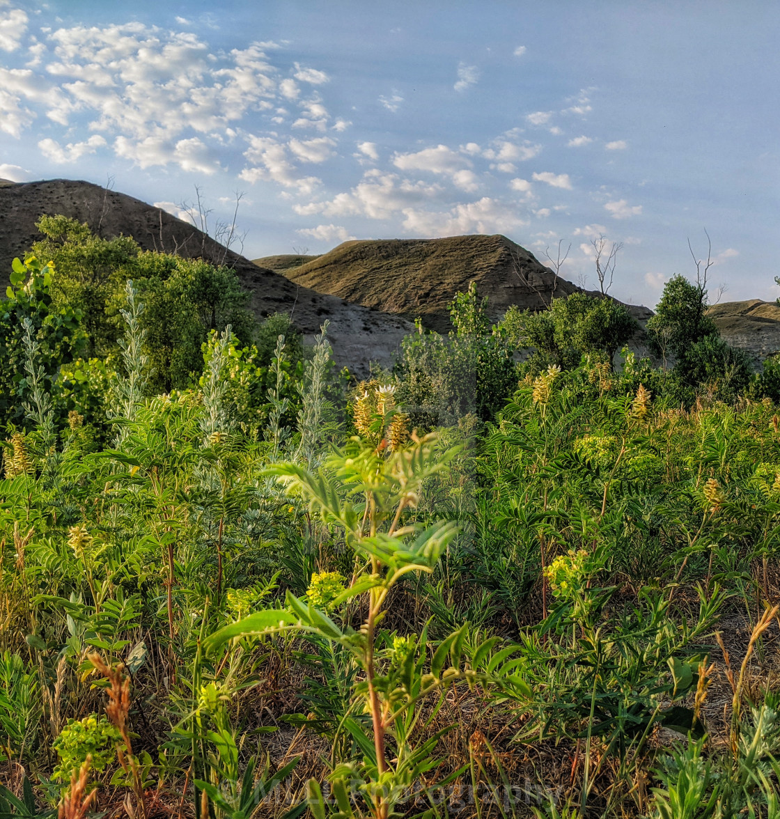 "Lush prairies" stock image