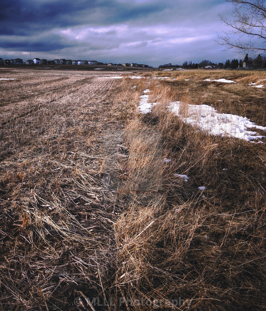 "Moody agriculture" stock image