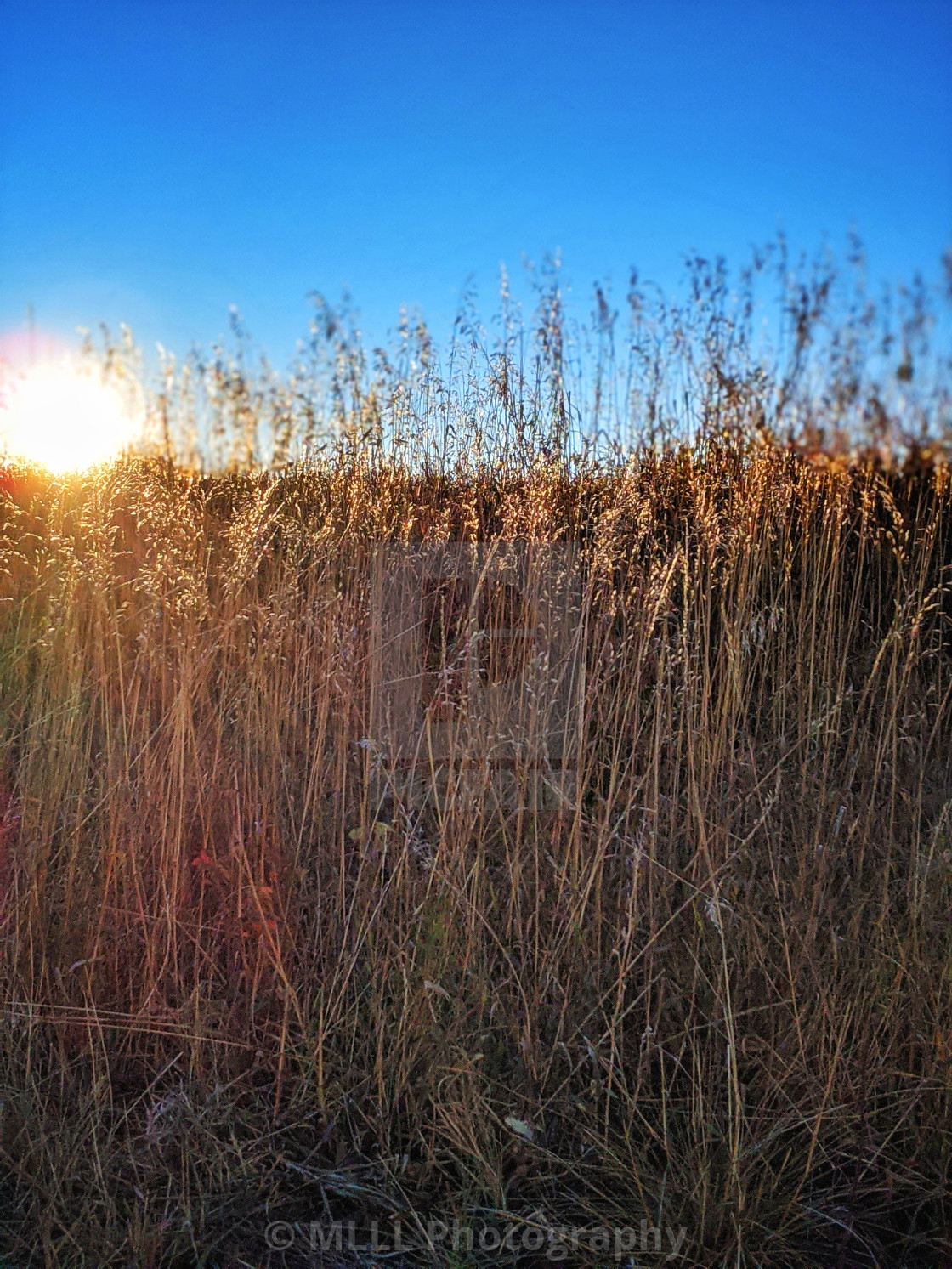 "Alberta sunrise" stock image