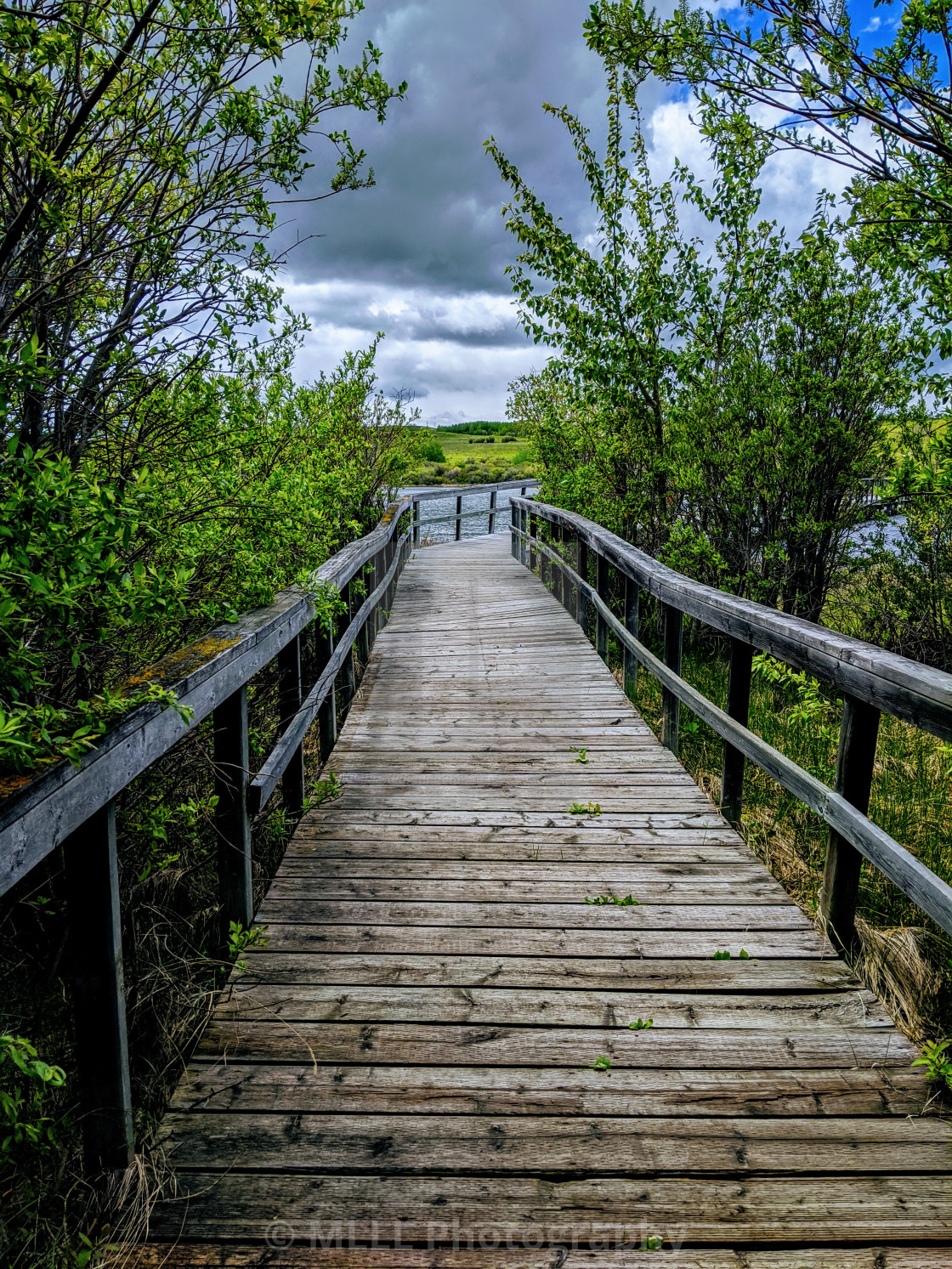 "Marsh bridge" stock image