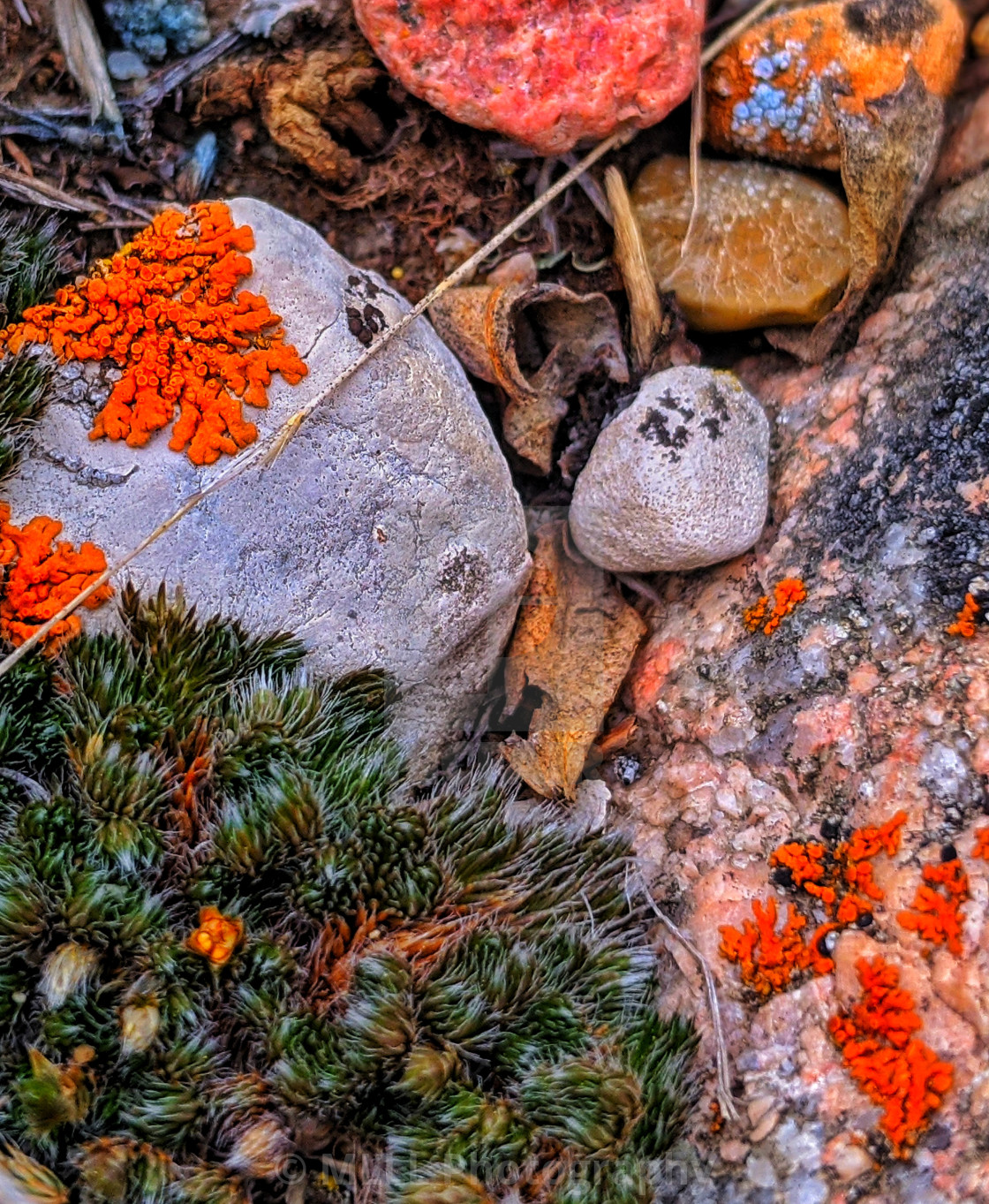 "Rainbow stones" stock image