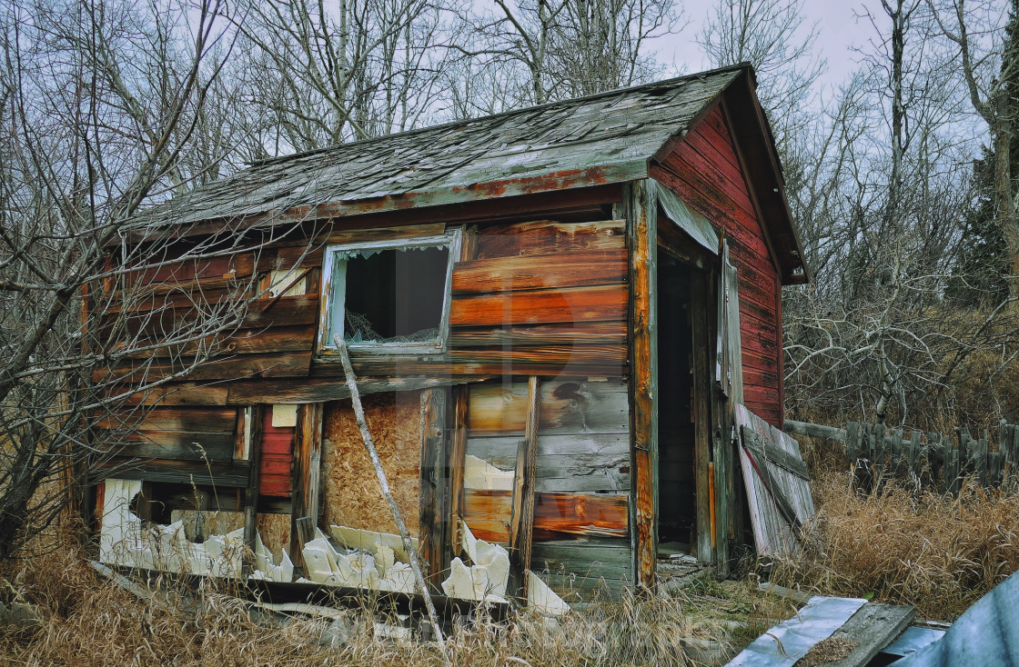 "Shack in the woods" stock image