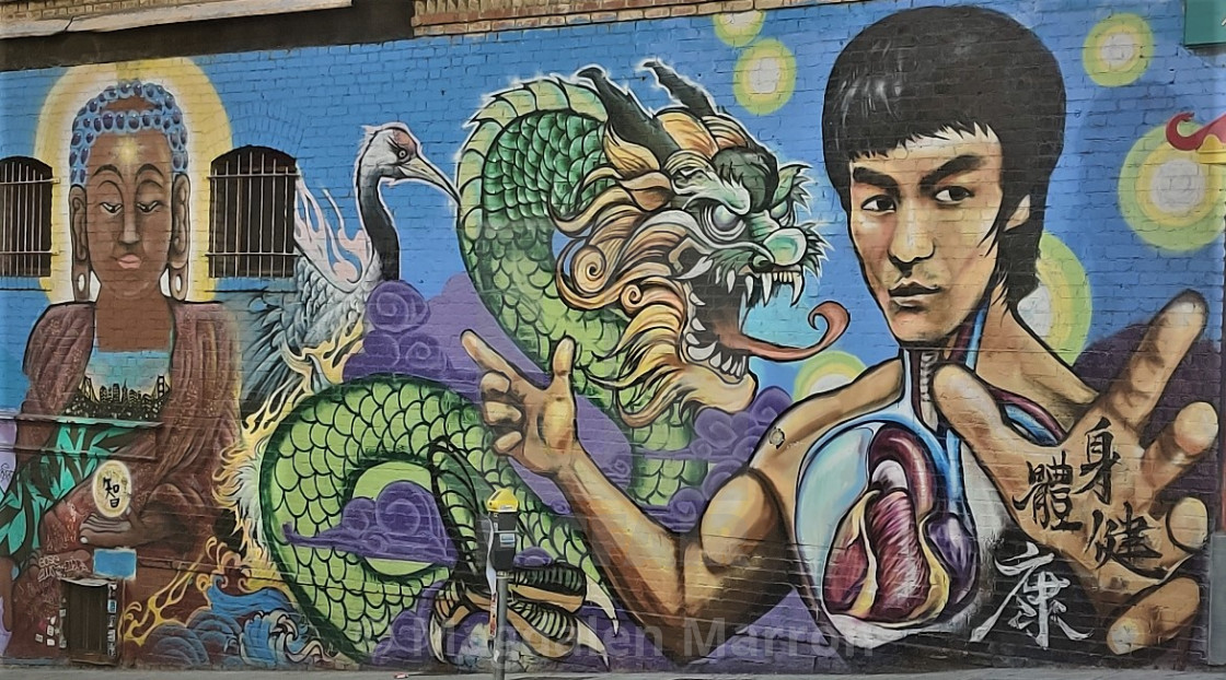 Street Mural Bruce Lee - License, download or print for £ | Photos |  Picfair