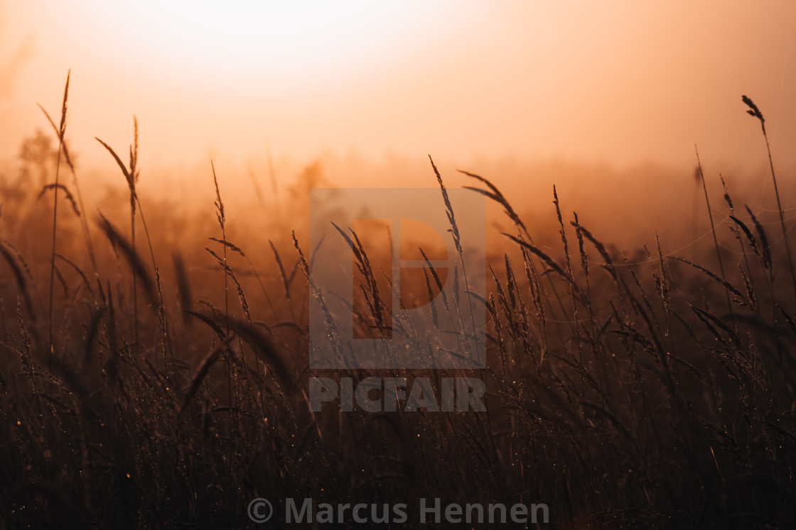 "Autumn Sunrise" stock image