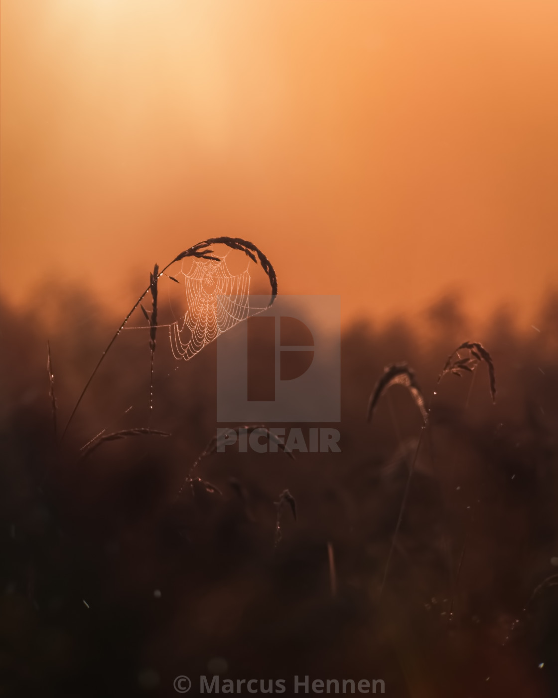 "Cold and foggy morning" stock image