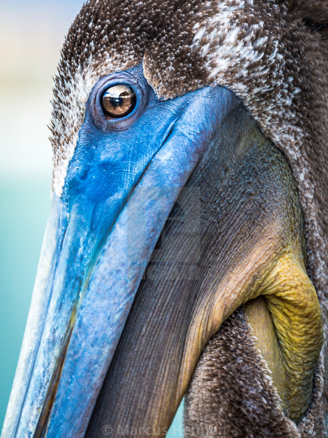 "Eye to eye" stock image