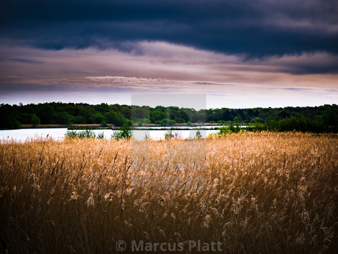 "Storm over Fleet Pond" by Marcus Platt - $15.34 "Storm over Fleet Pond" stock image