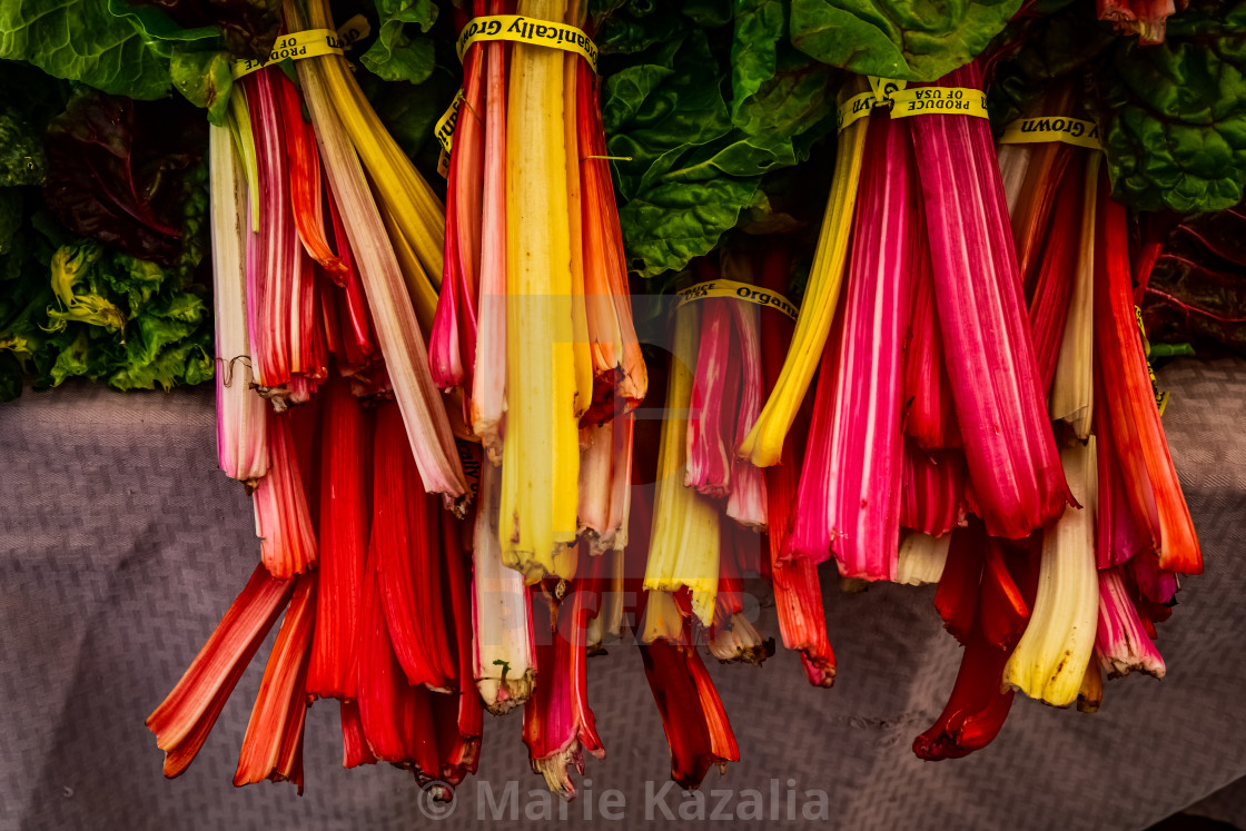 "rainbow chard in colorful bundles at farmer's market" by Marie Kazalia - $15.16 "rainbow chard in colorful bundles at farmer's market" stock image