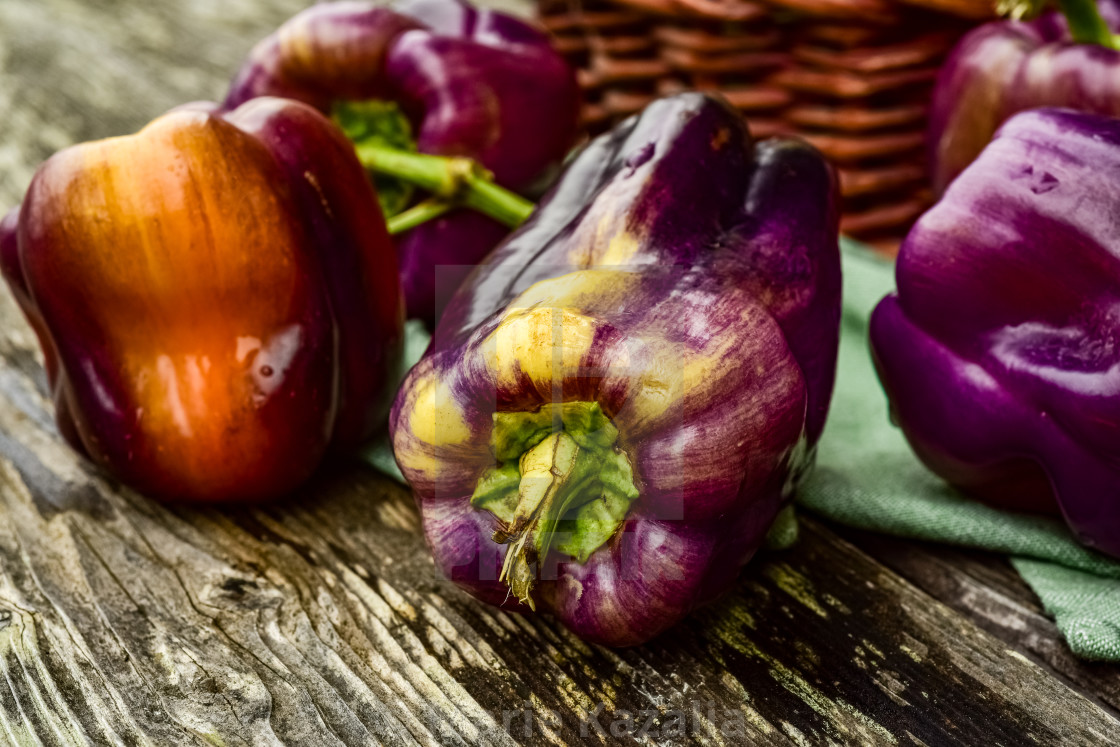 "closeup detail of whole purple bell pepper" by Marie Kazalia - $15.16 "closeup detail of whole purple bell pepper" stock image