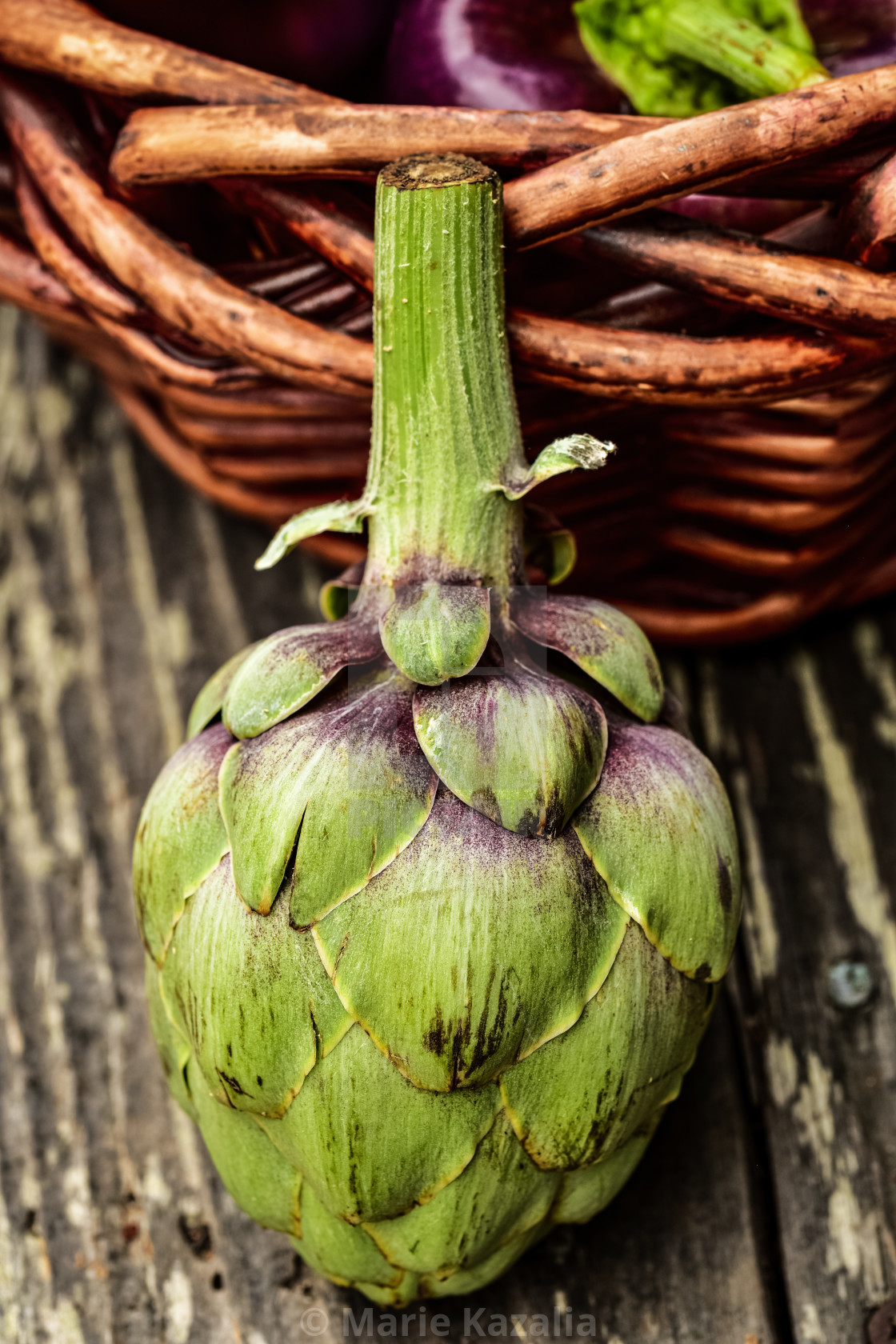 "single whole green artichoke with purple tinged petals" by Marie Kazalia - $15.44 "single whole green artichoke with purple tinged petals" stock image