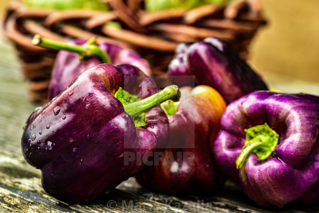 "closeup of whole purple bell peppers on rustic wood" by Marie Kazalia - $15.16 "closeup of whole purple bell peppers on rustic wood" stock image