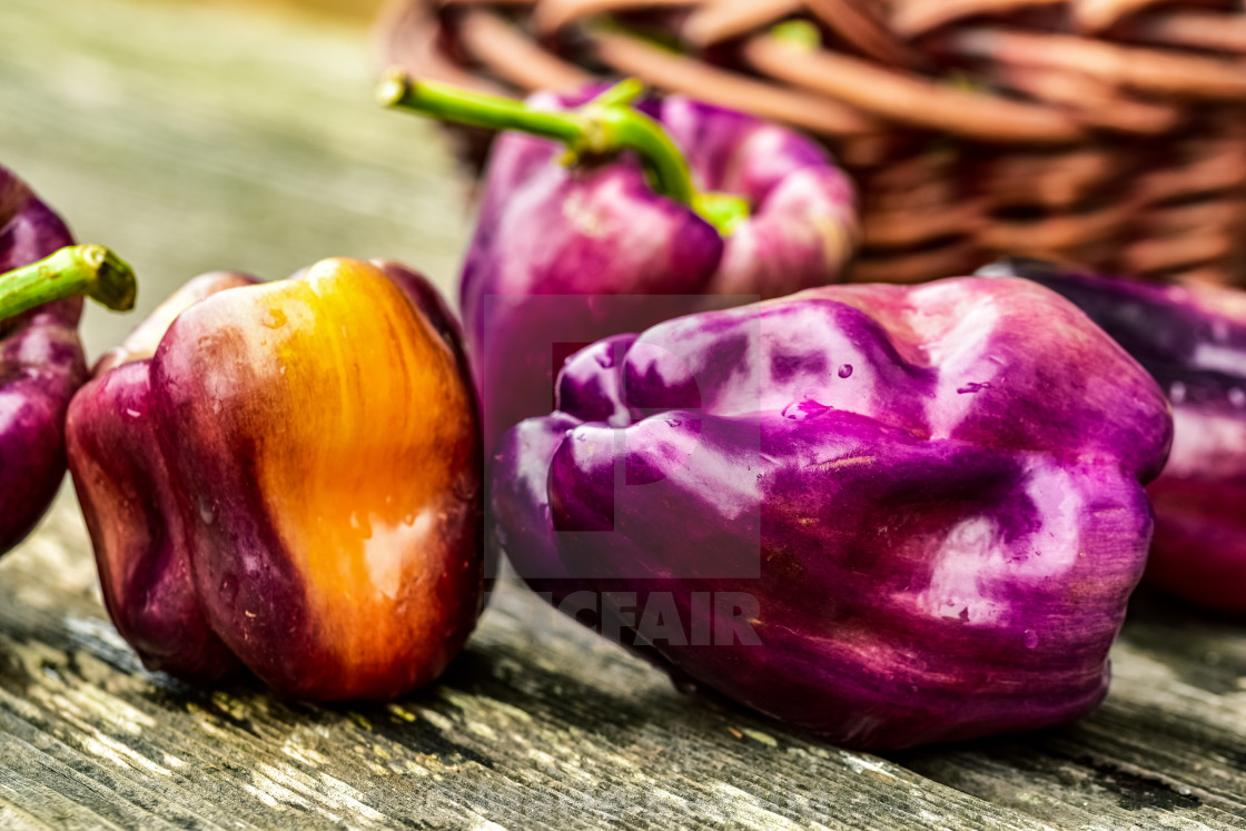 "closeup of whole purple bell peppers on wood tabletop" by Marie Kazalia - $15.44 "closeup of whole purple bell peppers on wood tabletop" stock image