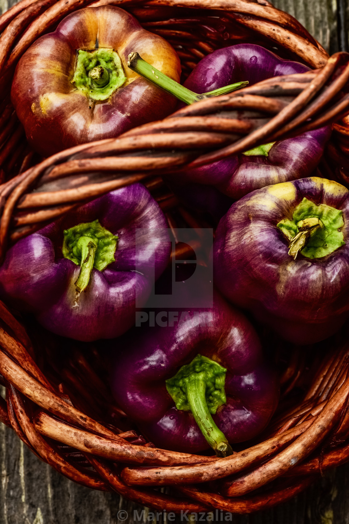 "above view of wicker basket with handle filled with whole purple bell peppers" by Marie Kazalia - $15.44 "above view of wicker basket with handle filled with whole purple bell peppers" stock image