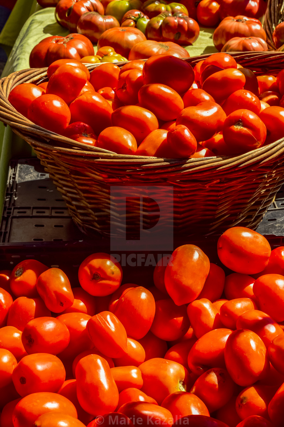 "pile of Roma tomatoes and wicker basket filled at farmer's market" by Marie Kazalia - $15.44 "pile of Roma tomatoes and wicker basket filled at farmer's market" stock image