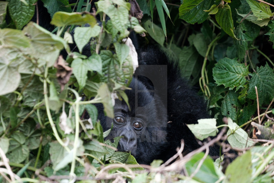 "Hey, there!" stock image