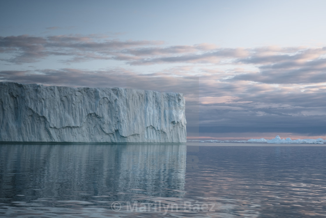 "Nature's Giant" stock image