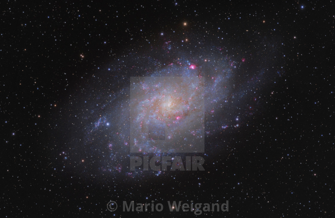"The Triangulum Galaxy" by Mario Weigand - $23.09 "The Triangulum Galaxy" stock image