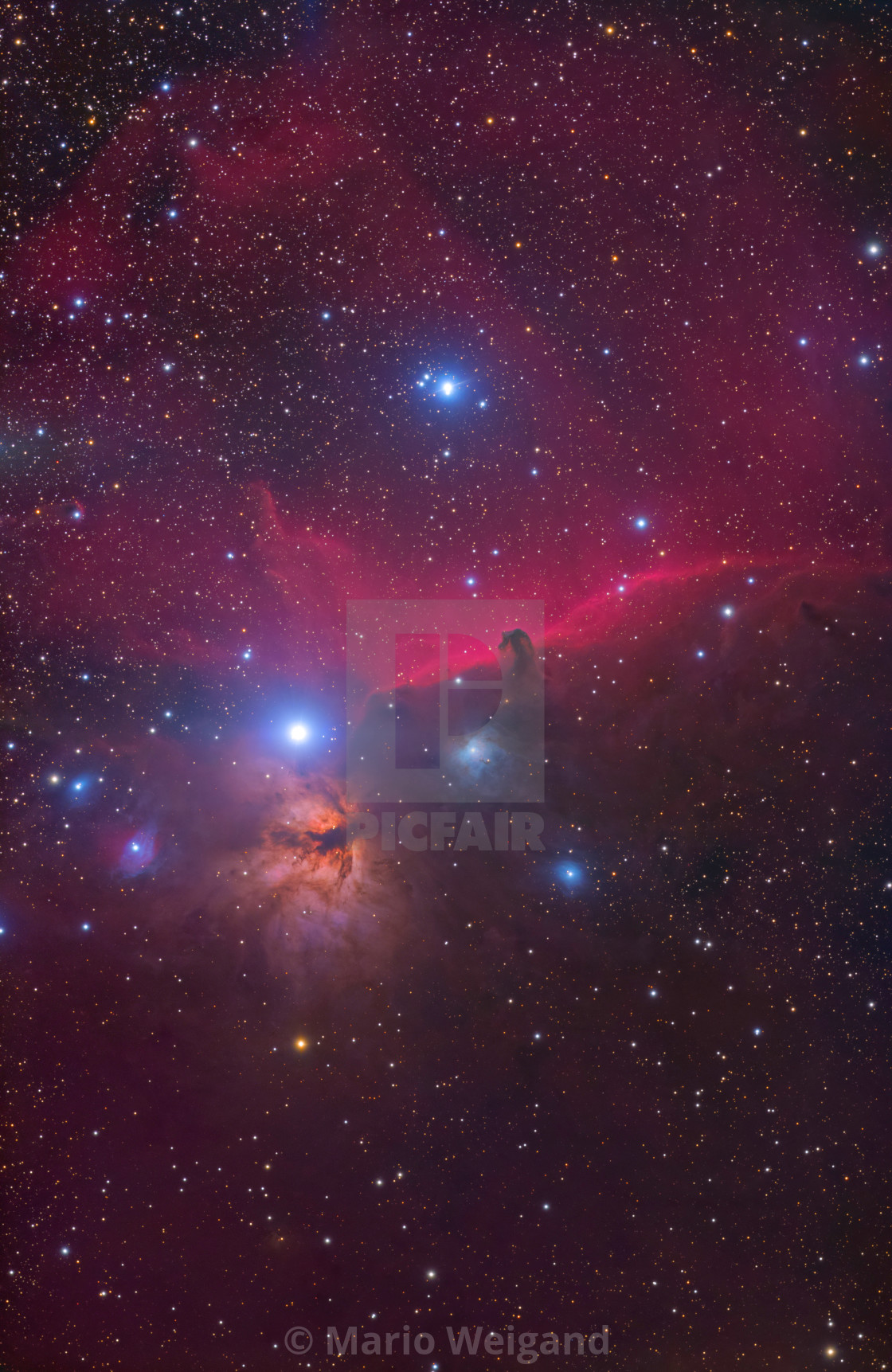 "The Horsehead Nebula" by Mario Weigand - $23.09 "The Horsehead Nebula" stock image