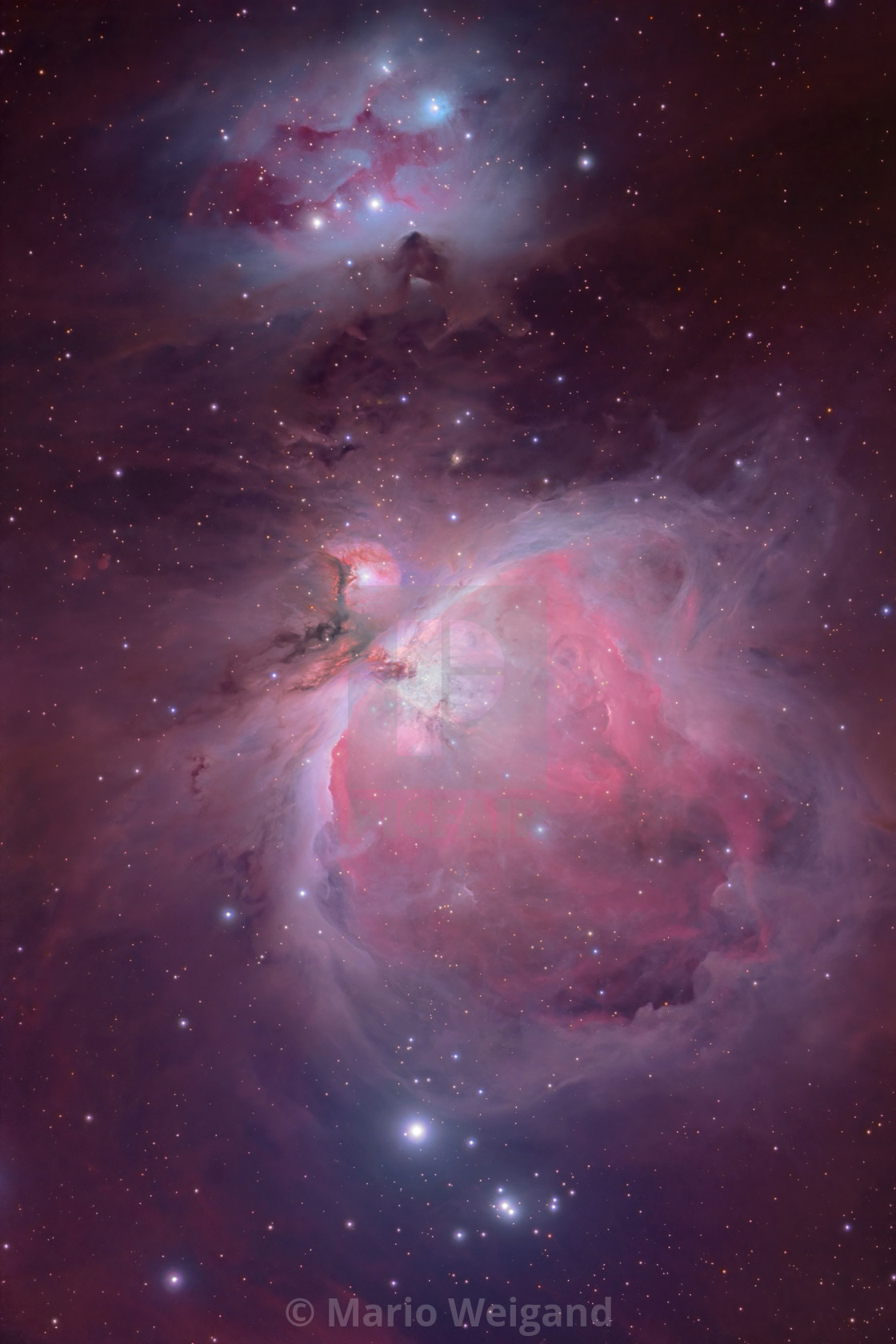 "The Great Orion Nebula" by Mario Weigand - $23.09 "The Great Orion Nebula" stock image