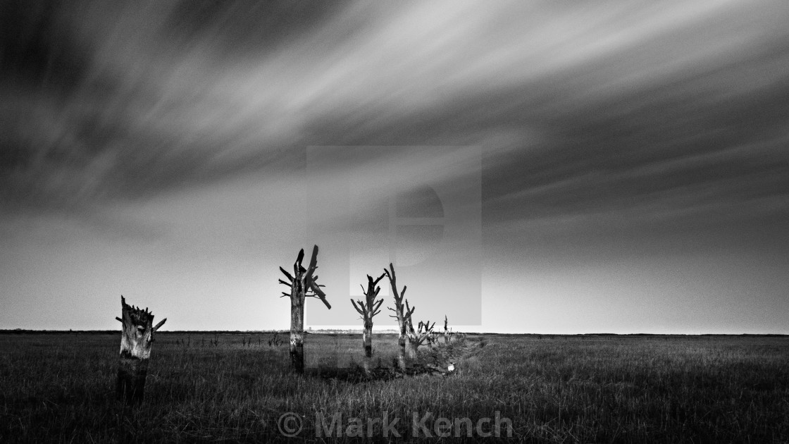 "Reclaimed by the Sea" stock image