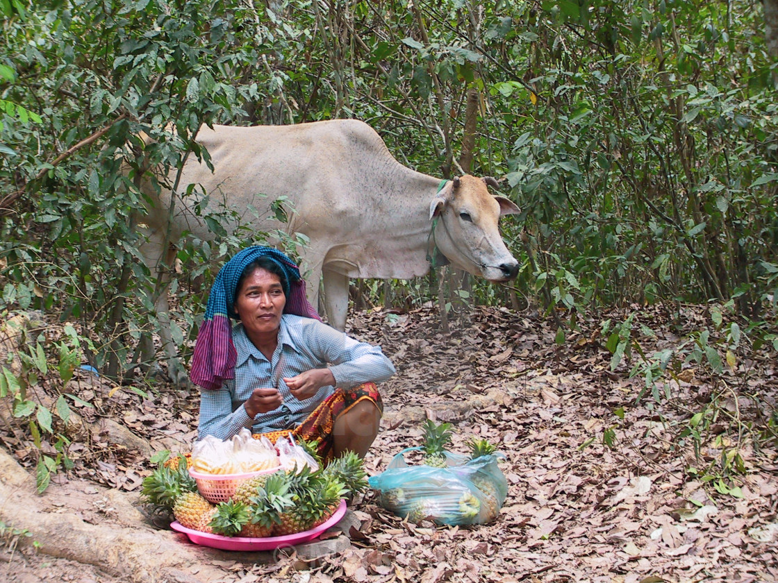 "Fruit Seller in Cambodia" by Mark Malby - $21.81 "Fruit Seller in Cambodia" stock image