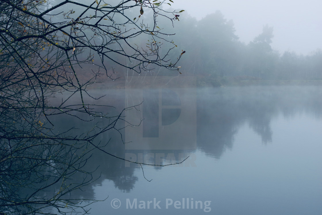 "Lake at Ewshot, England, on a foggy day" by Mark Pelling - £15.00 "Lake at Ewshot, England, on a foggy day" stock image