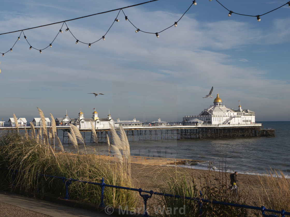 "Pier from the Prom." stock image