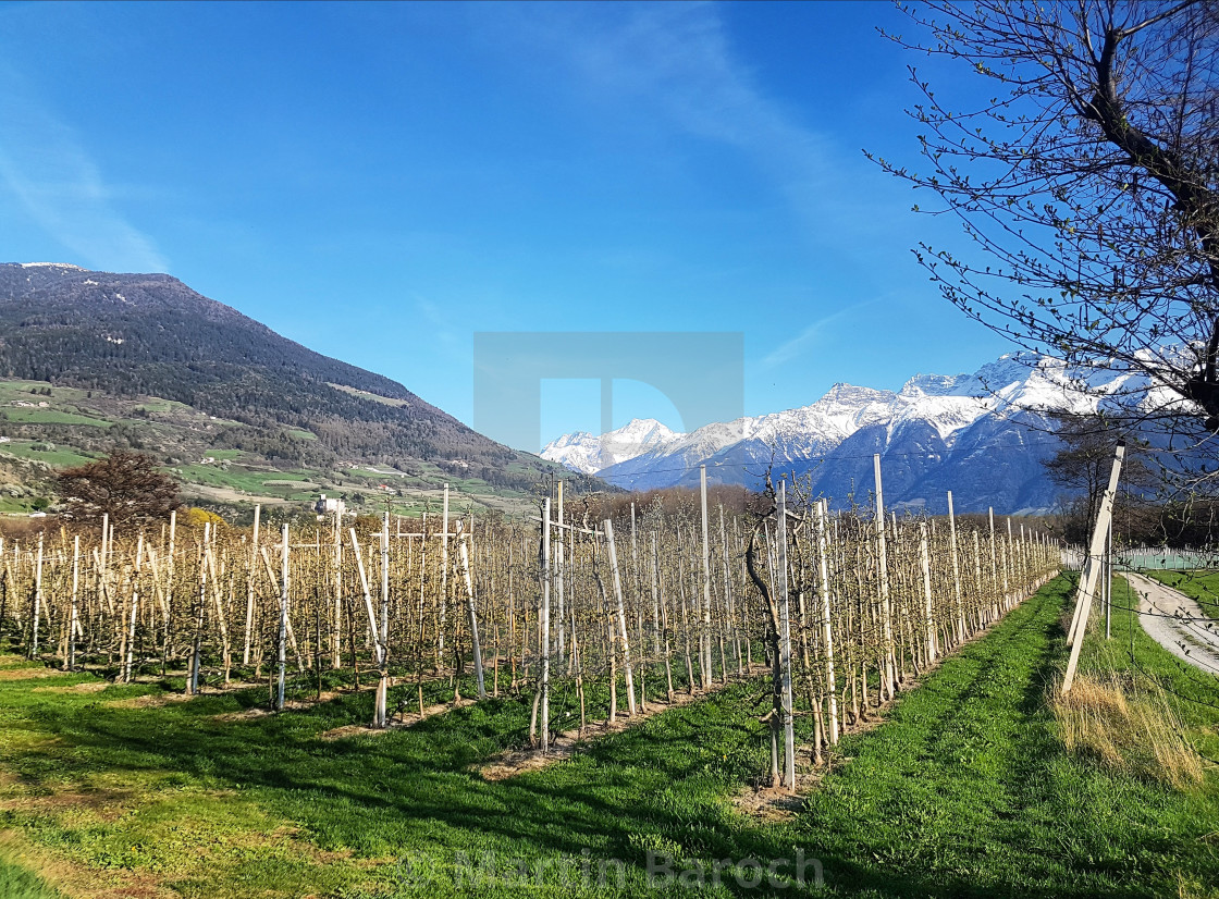 "Typical South Tyrol scenery" stock image