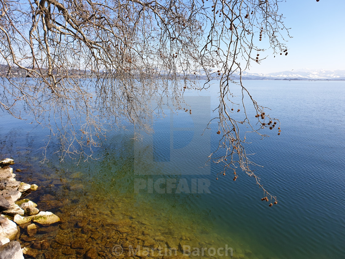 "Spring Scenery at Lake Zurich in Richterswil" stock image