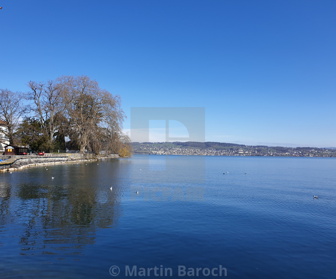 "Spring Morning at Lake Zurich in Richterswil" stock image