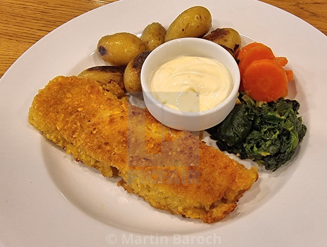 "Coalfish lunch" stock image