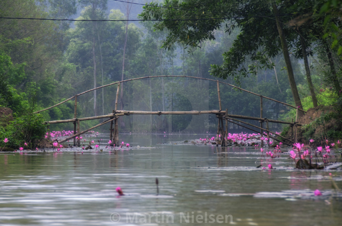 "Crossing the lotus river" stock image