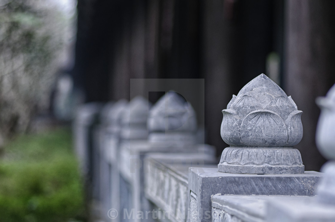 "Stone flowers" stock image