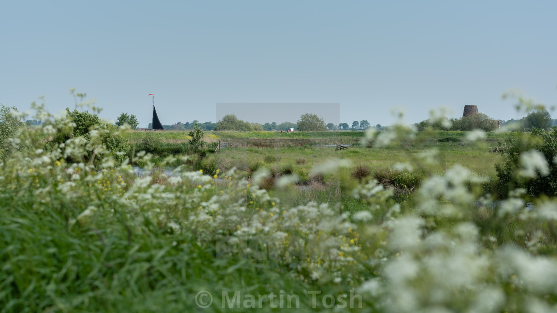 "Norfolk Wherry boat and St Benet's Abbey in the Broadland landscape." stock image