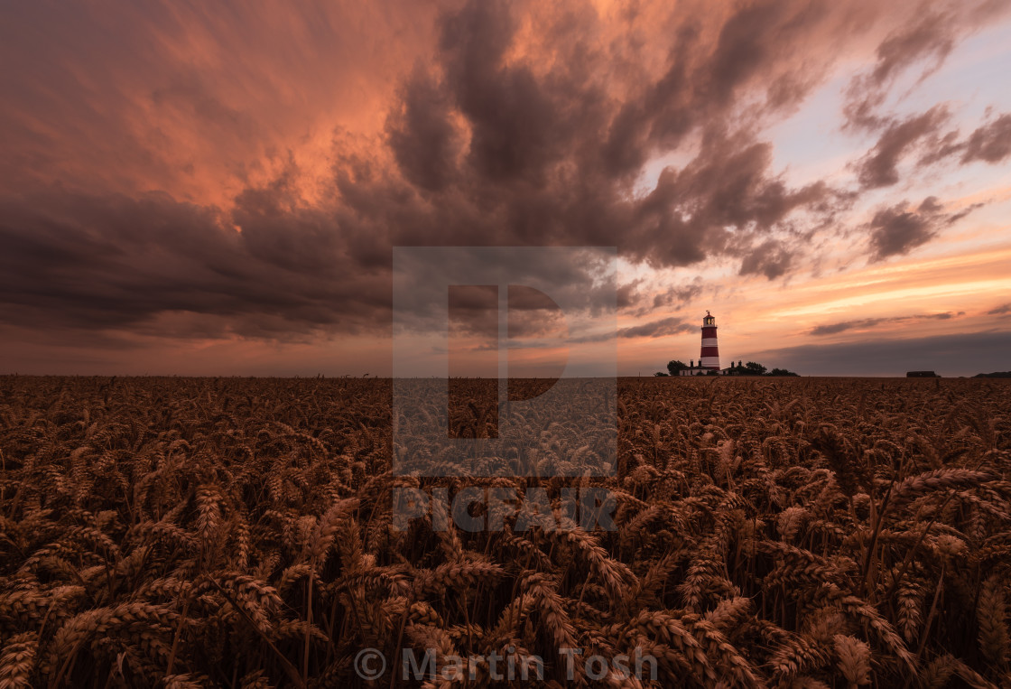 "'Reaper' Happisburgh lighthouse across wheat field with stormy sunset clouds." stock image