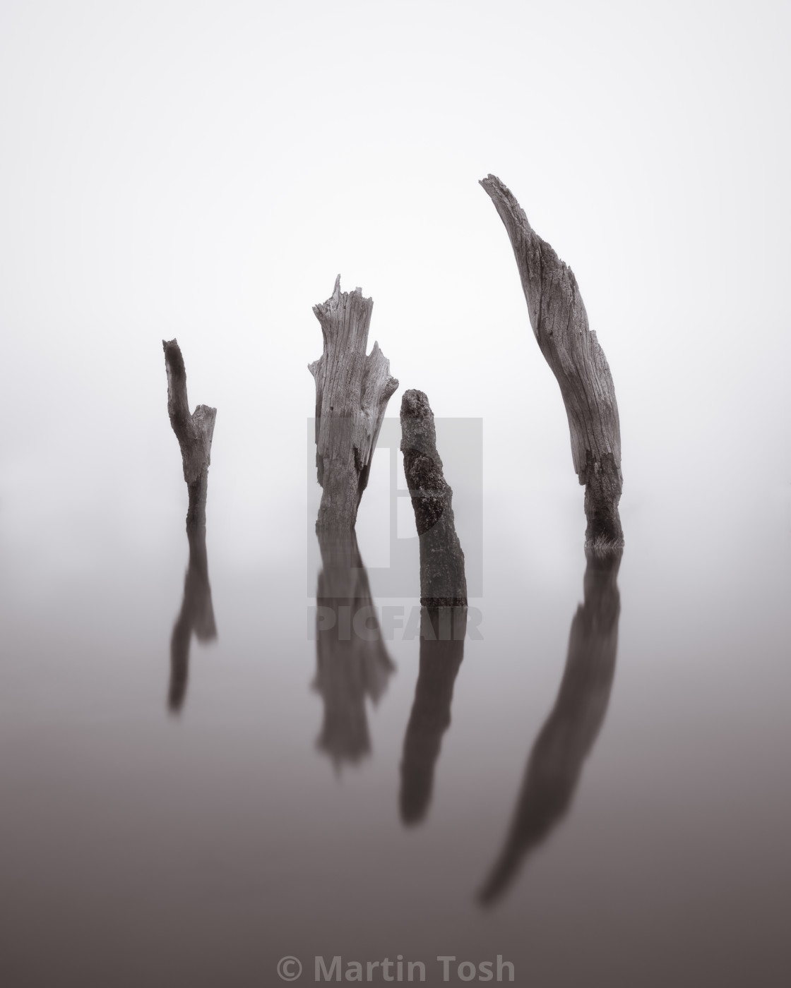 "Thornham old harbour quay iii old posts and reflections." stock image