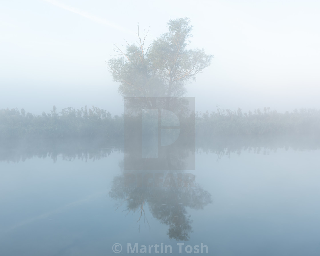 "Lone tree and reflection misty river." stock image