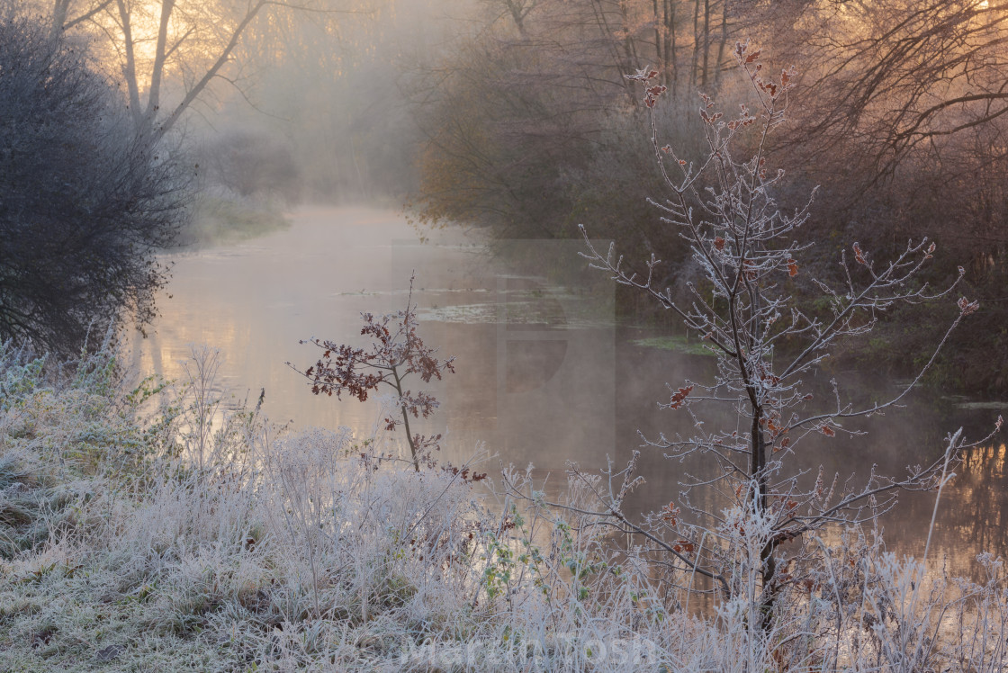 "Frosty misty woodland riverside scene." stock image