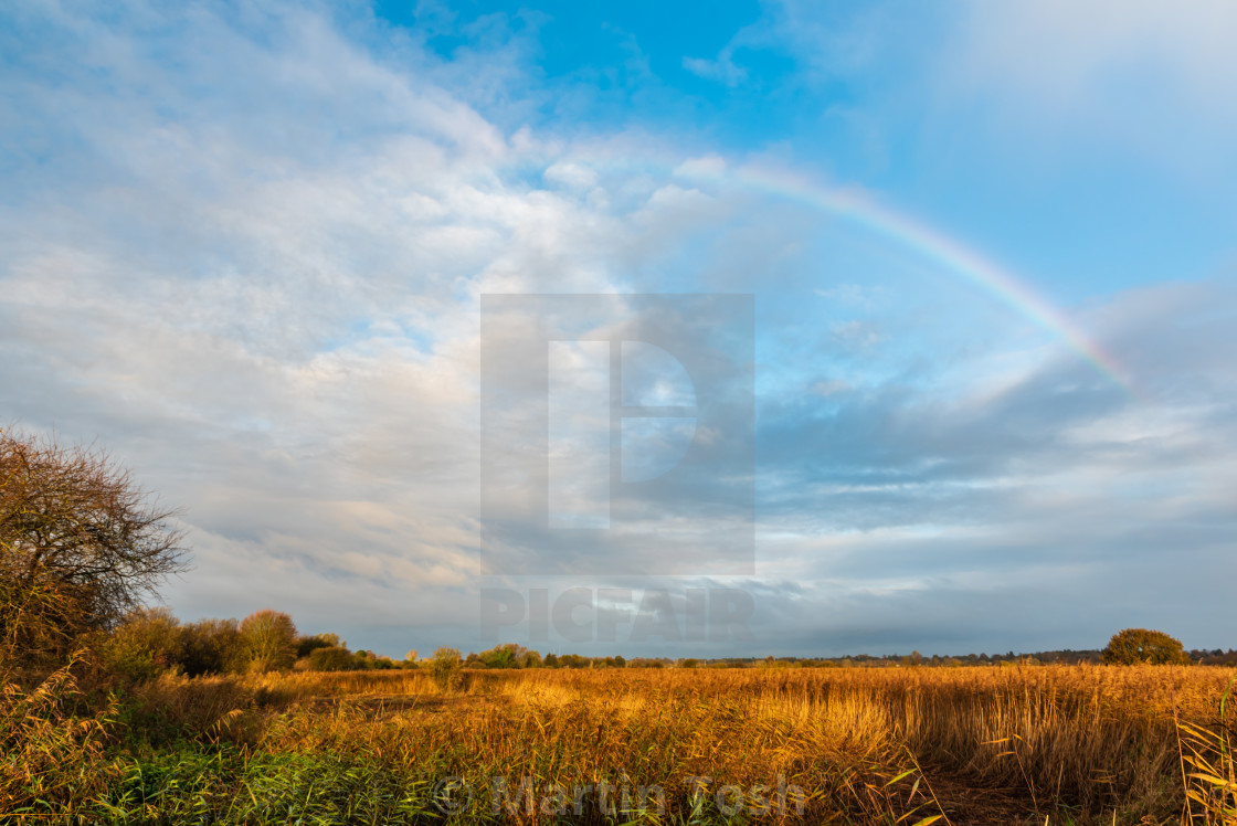 "Rainbow over golden marshes." stock image