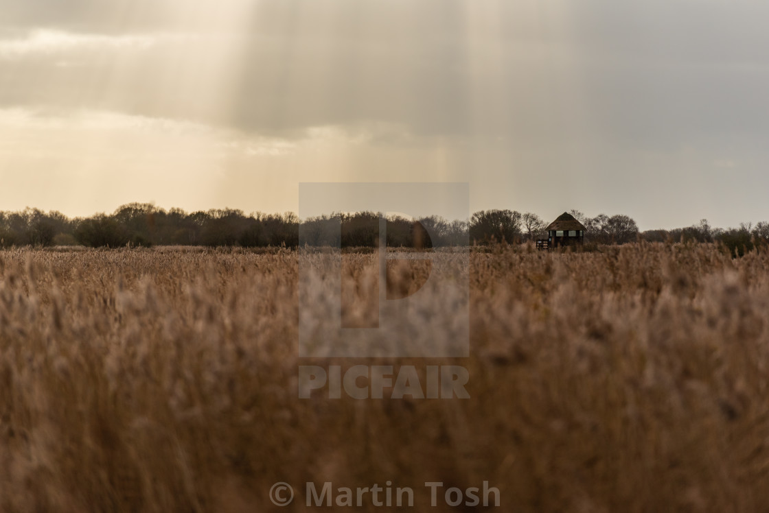 "Hickling Broad nature reserve i" stock image