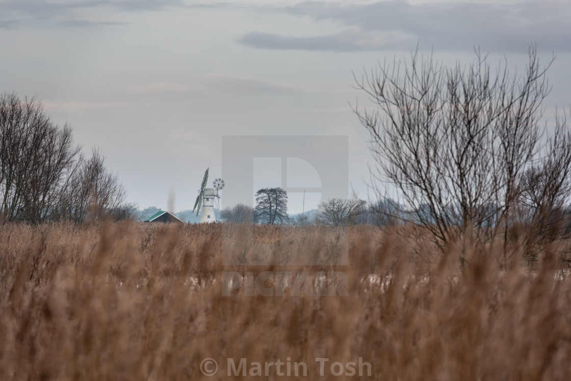 "Thurne Mill across Upton Marshes" stock image