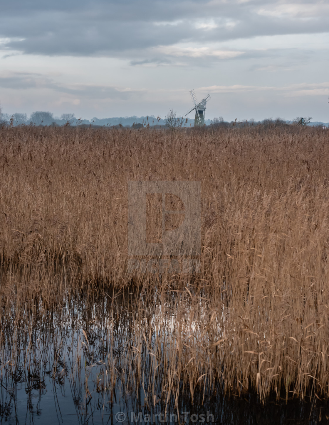 "St Benet's Mill across Upton Marshes iii" stock image