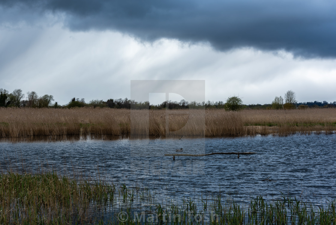 "Rainclouds over fenland i" stock image